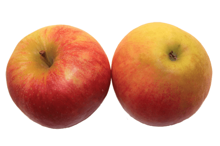 Jabłka Elstar (15 kg)