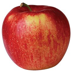 Jabłka Jonagored (15 kg)