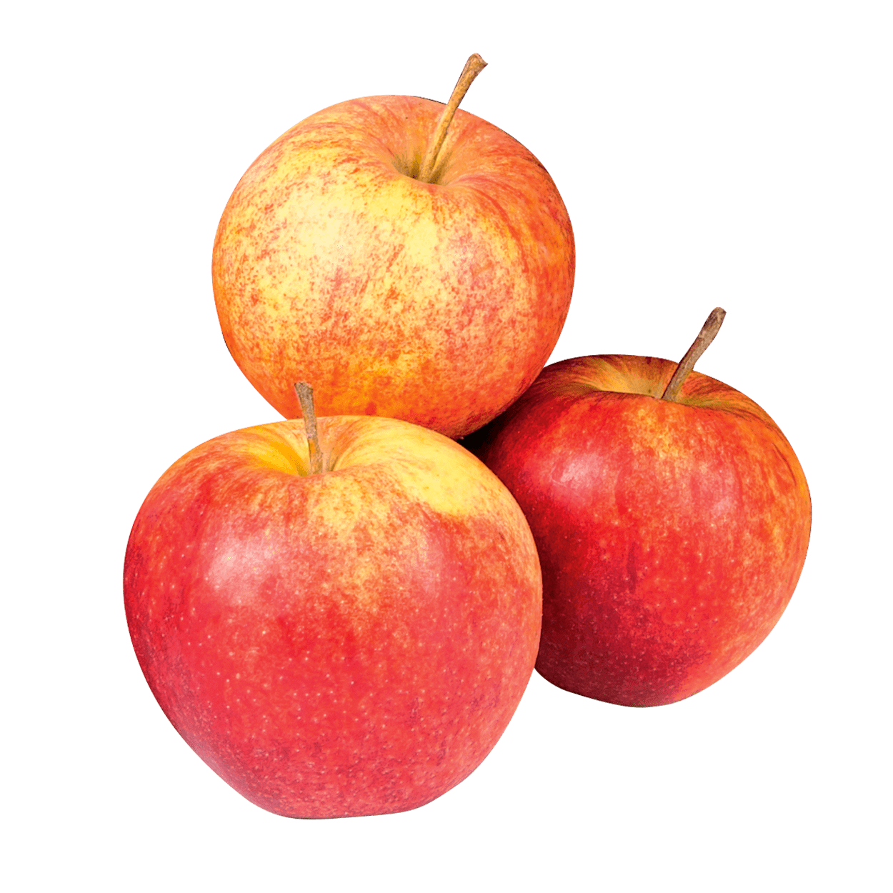 Jabłka kl2 JONAGORED 15kg