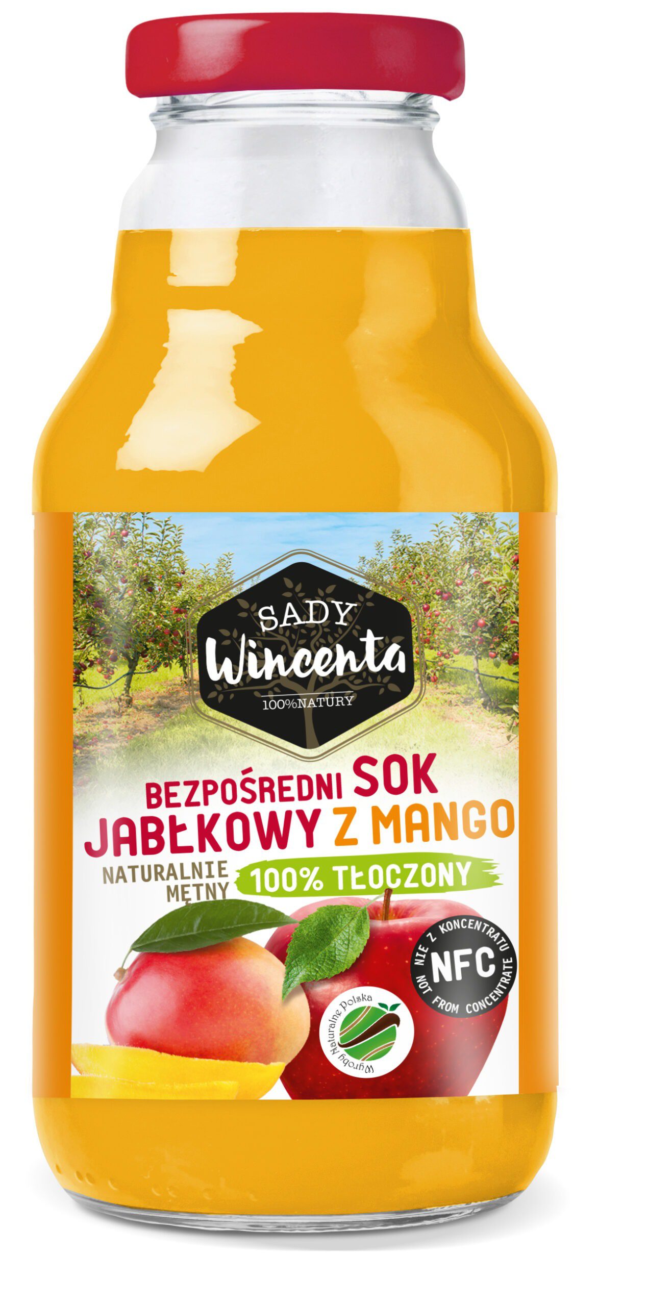 Sok Jabłko-mango 330ml (15szt)